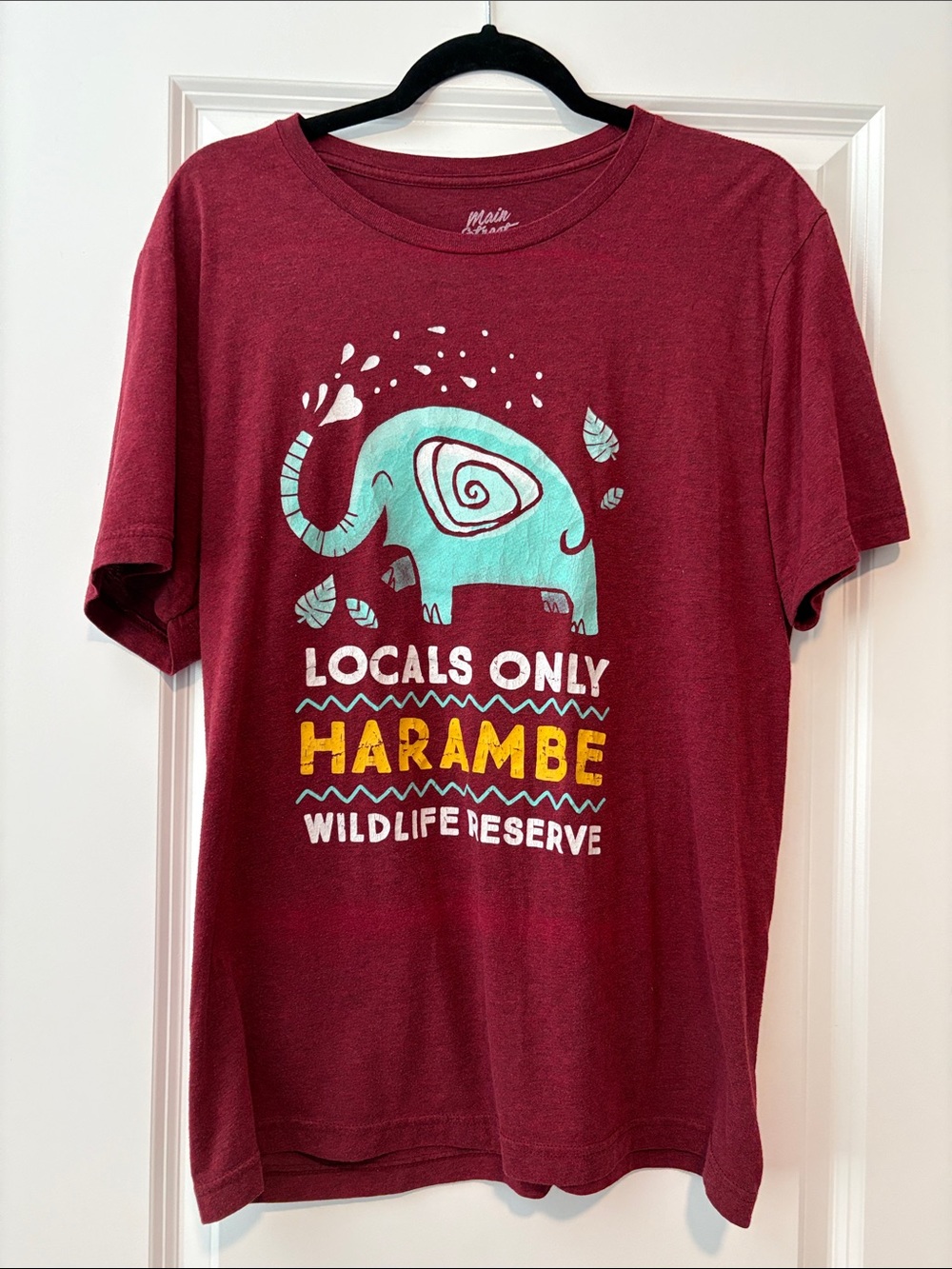 Disney’s Animal Kingdom inspired Elephant Graphic Tee - Maroon & Teal